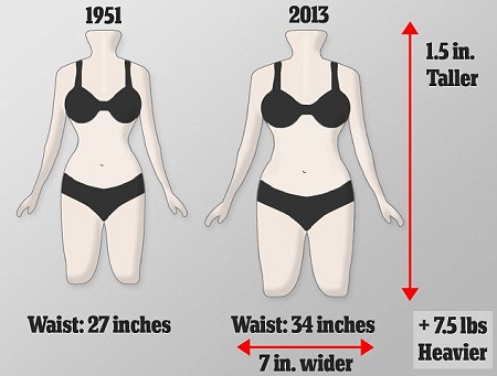 現(xiàn)今英國女性的平均腰圍已從1951年時的68厘米上升到86厘米，而胸圍和臀圍并沒有相應(yīng)增加，因此體型更接近于長方形