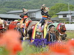 日本巖手縣舉行傳統(tǒng)活動“叮鈴叮鈴趕馬會”（圖）