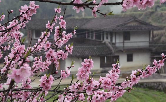 福建獲批建設全國首個生態(tài)文明先行示范區(qū)