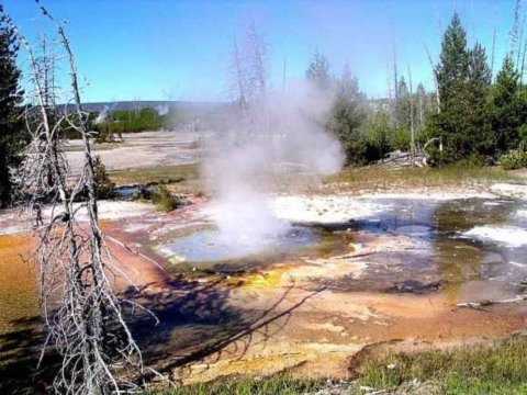 大膽人類火山口“湊熱鬧”求婚品酒賞美景（圖）（5）