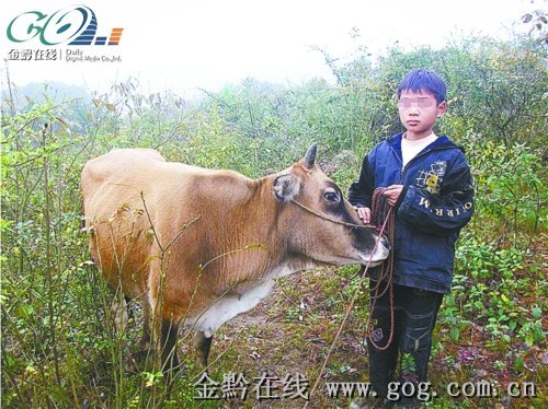 10歲男孩靠吃“百家飯”過(guò)日子睡村民家牛圈（圖）